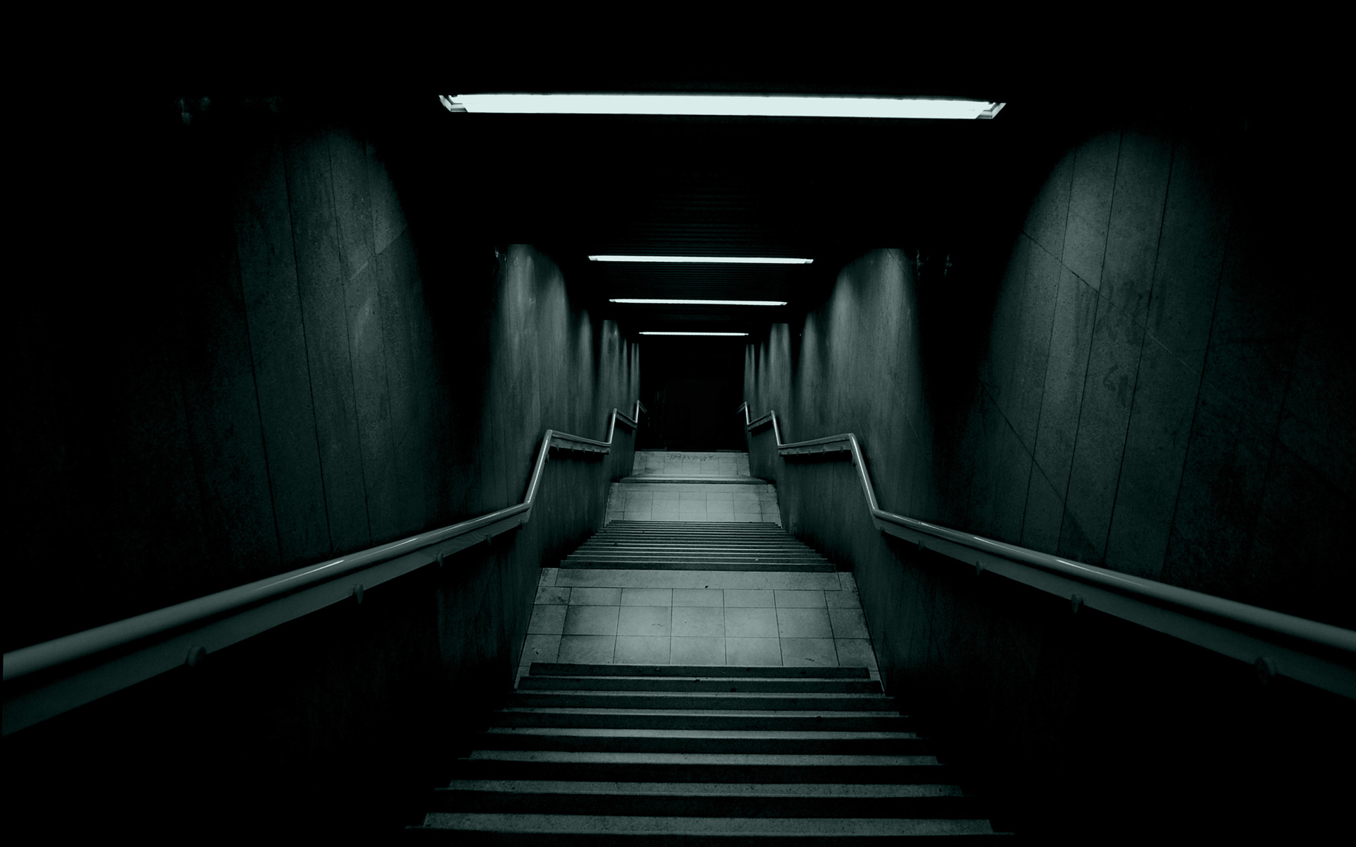 ̹